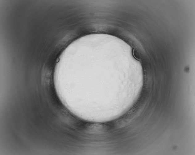 X0000116830123201001081446