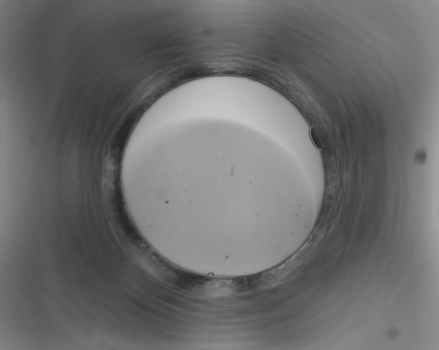 X0000116830124201001081446