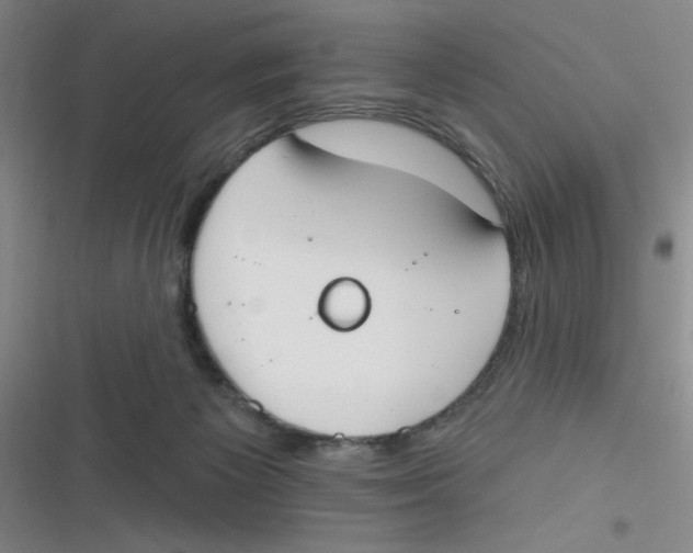 X0000116830125201001081446