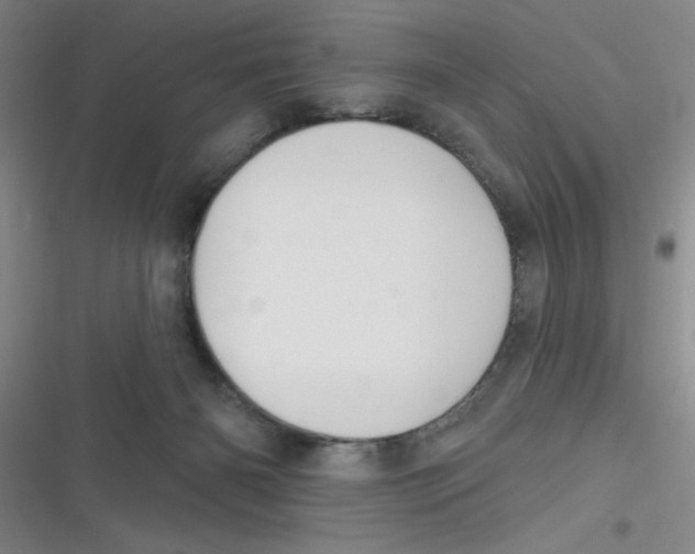 X0000116830126201001081446