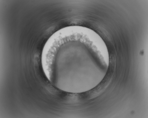 X0000116830127201001081446