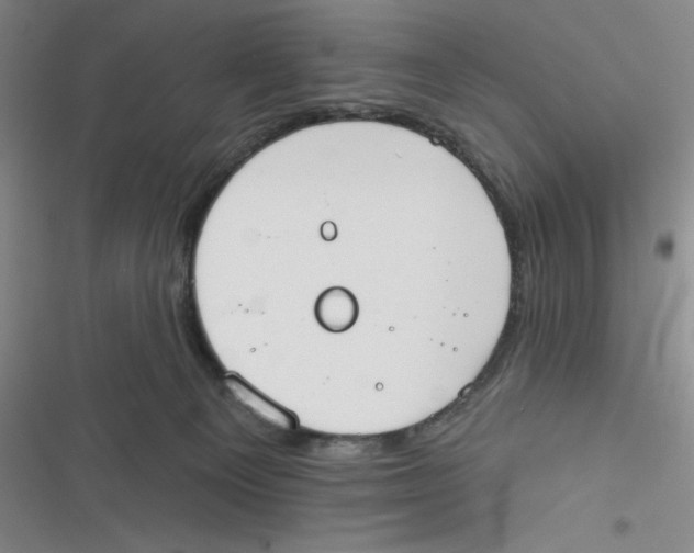 X0000116830129201001081446