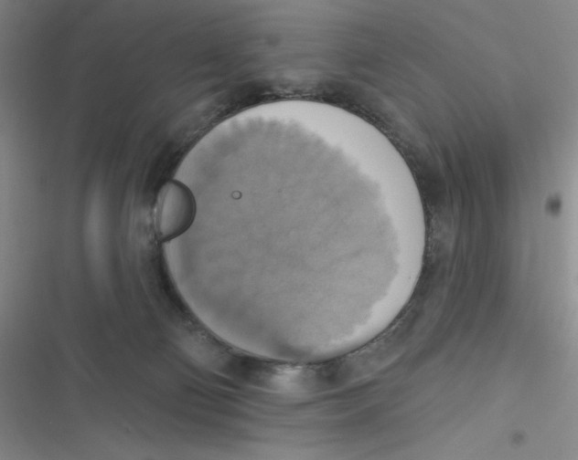 X0000116830130201001081446