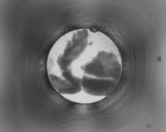 X0000116830131201001081445