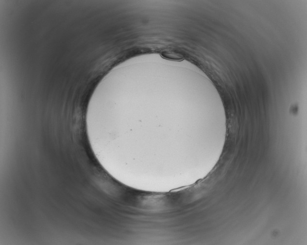 X0000116830132201001081445