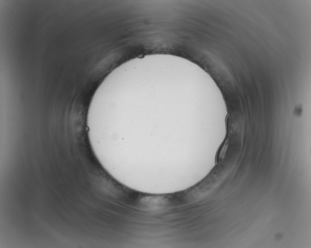 X0000116830133201001081445