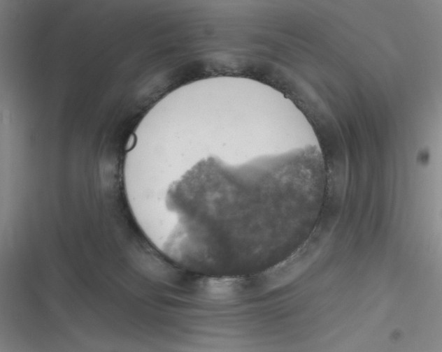 X0000116830134201001081445