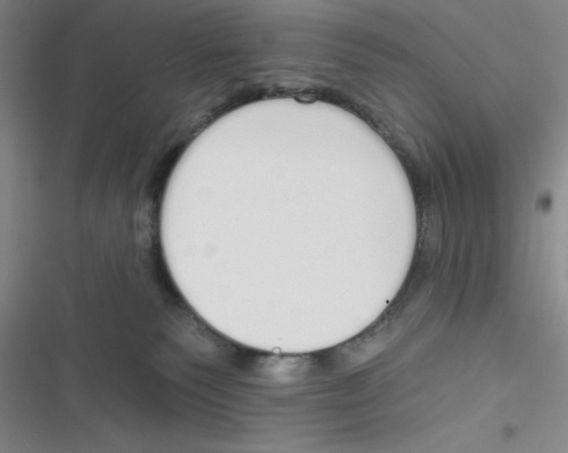 X0000116830135201001081445