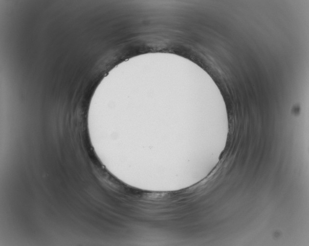 X0000116830136201001081445