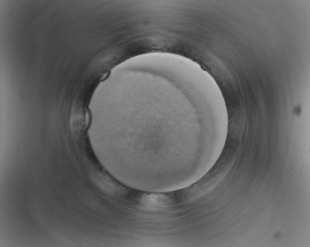 X0000116830137201001081445