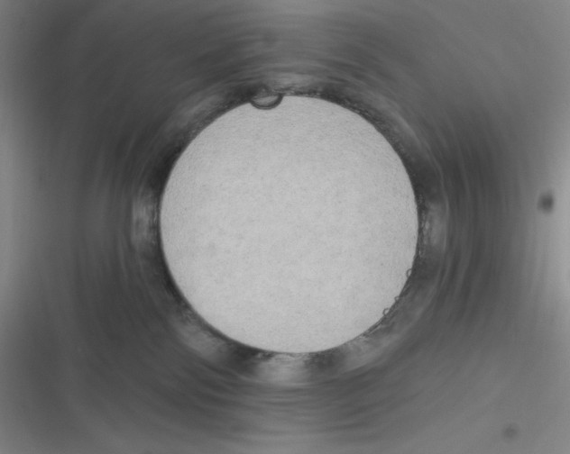 X0000116830138201001081445