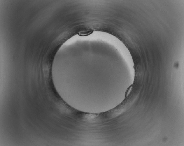 X0000116830139201001081445