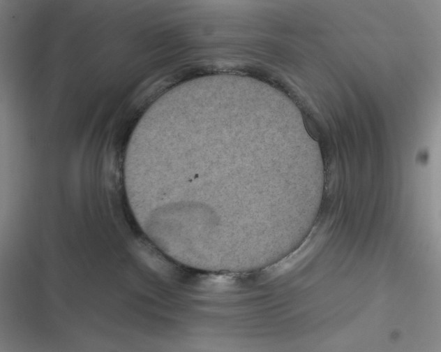 X0000116830140201001081445