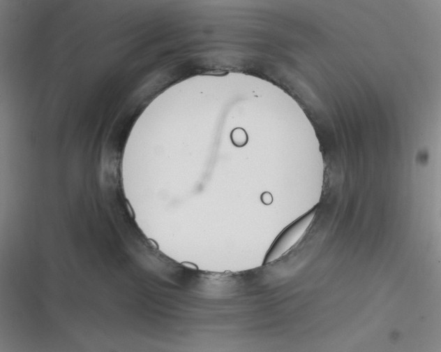 X0000116830141201001081445