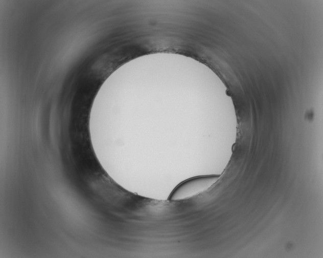 X0000116830142201001081445