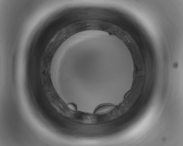 X0000116830143201001081445