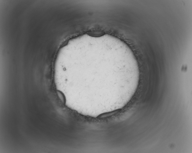 X0000116830144201001081445