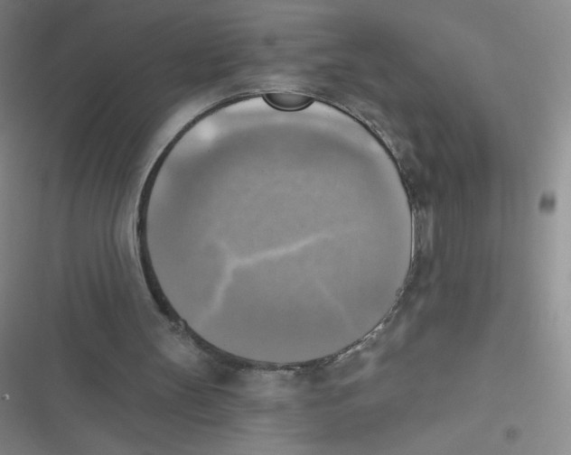 X0000116830147201001081445