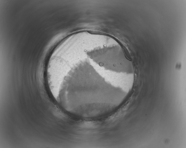 X0000116830149201001081445