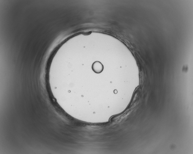 X0000116830150201001081445