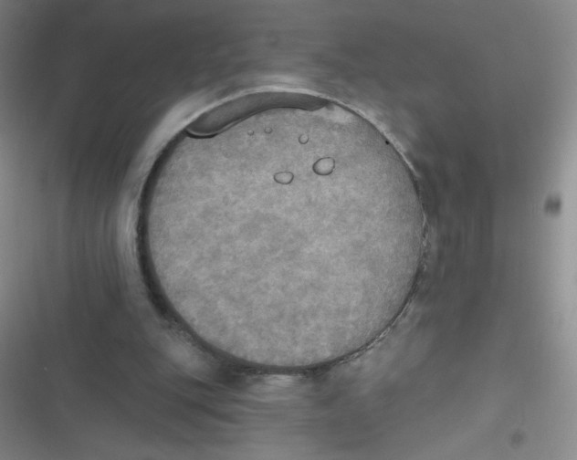 X0000116830151201001081445