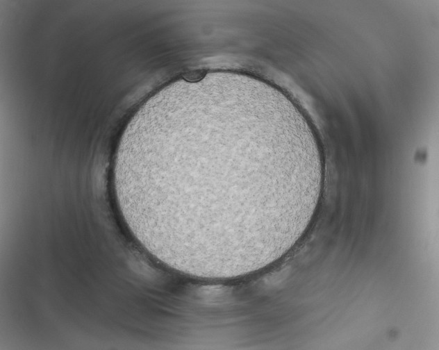 X0000116830153201001081445