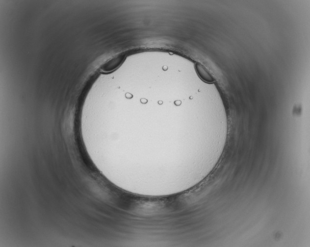 X0000116830155201001081445