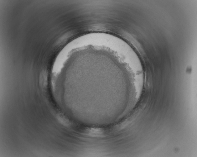 X0000116830157201001081445