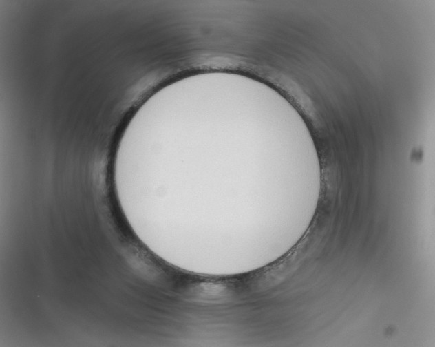 X0000116830159201001081445