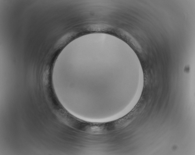 X0000116830163201001081445