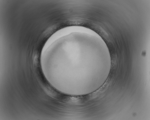 X0000116830166201001081445