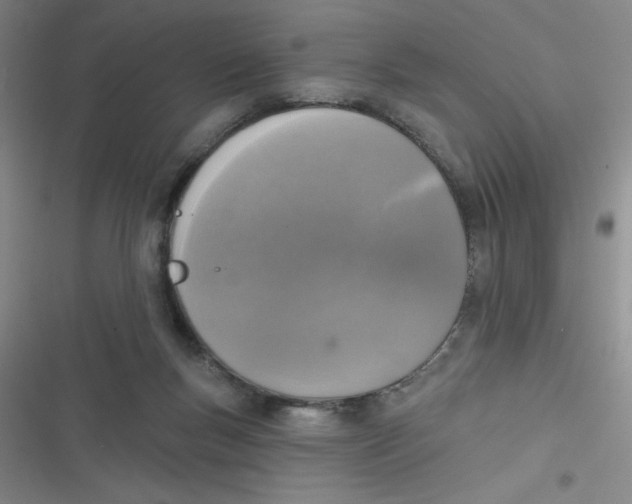 X0000116830167201001081445