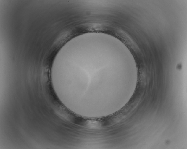 X0000116830169201001081445