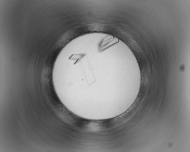 X0000116830171201001081445