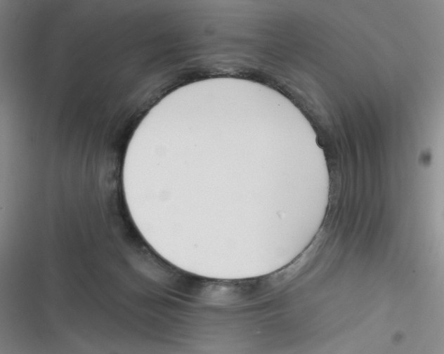 X0000116830174201001081445