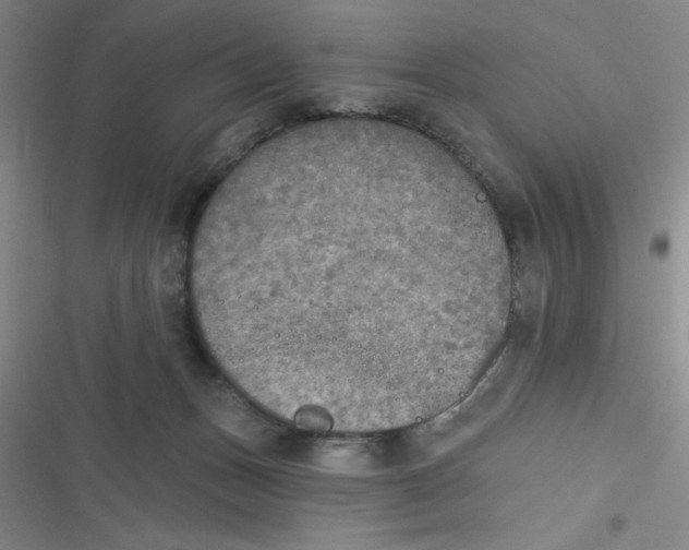 X0000116830175201001081445