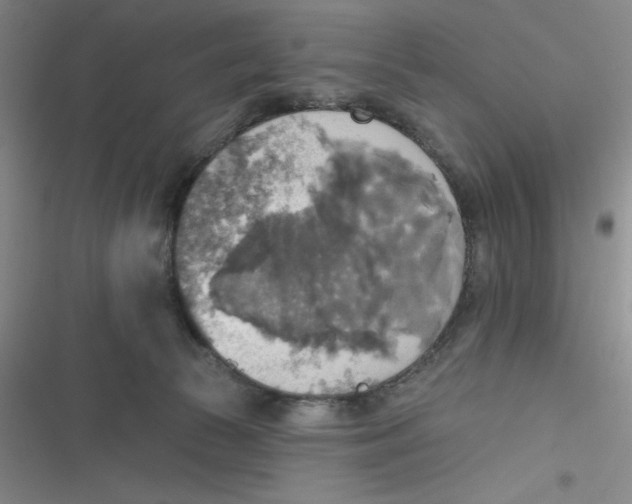 X0000116830177201001081445