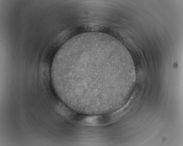 X0000116830178201001081445