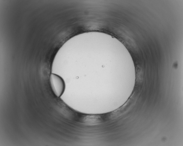 X0000116830179201001081445