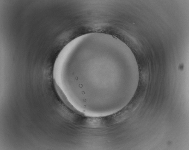 X0000116830181201001081445