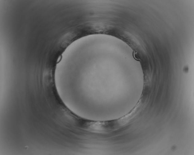 X0000116830182201001081445