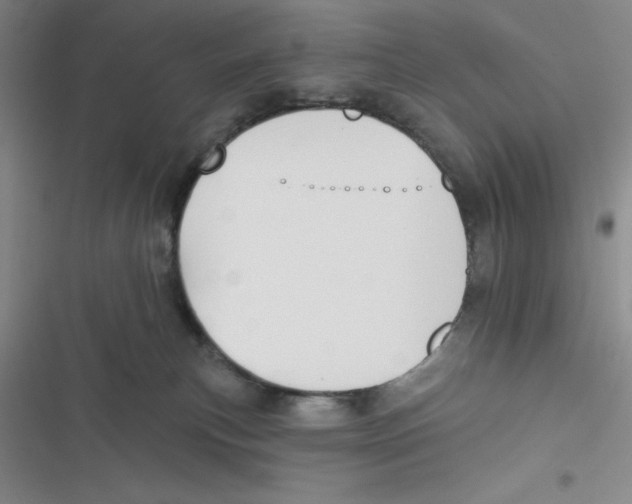 X0000116830183201001081445