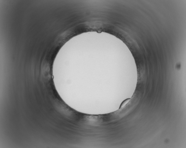 X0000116830187201001081445