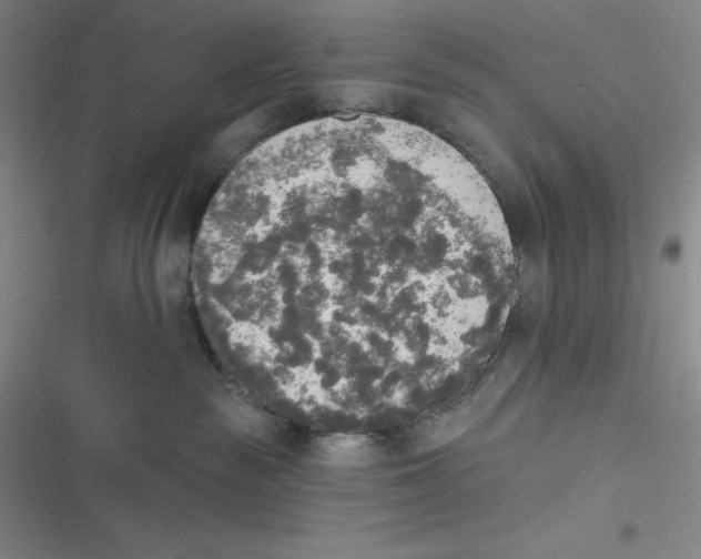 X0000116830189201001081445