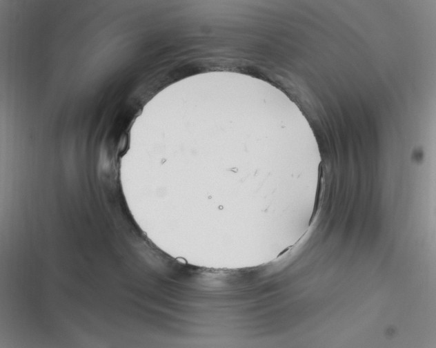 X0000116830190201001081445