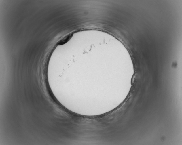 X0000116830193201001081445