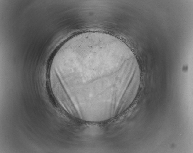 X0000116830194201001081445