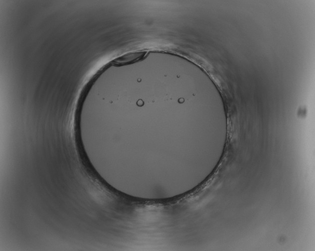 X0000116830196201001081445