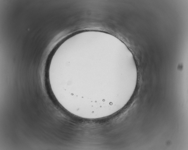 X0000116830199201001081445