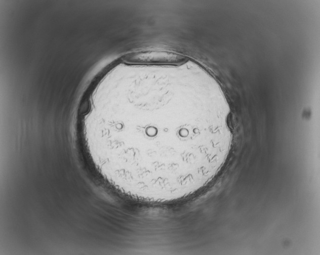 X0000116830200201001081445